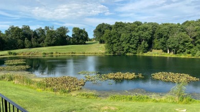 3.99% Interest Loan Available! Purchase this Beautifully updated on Lakes of the Four Seasons Country Club in Indiana - for sale on GolfHomes.com, golf home, golf lot