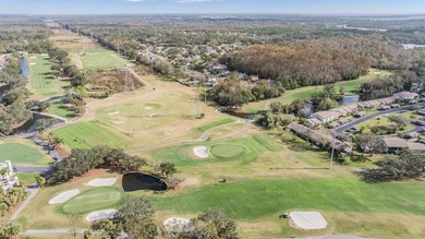 Under contract-accepting backup offers. Set on an exceptional on East Lake Woodlands Country Club in Florida - for sale on GolfHomes.com, golf home, golf lot