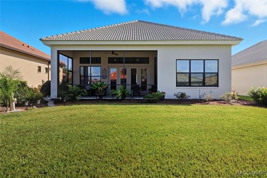 Welcome to this exquisite custom-built villa in Terra Vista's on Skyview At Terra Vista Golf and Country Club in Florida - for sale on GolfHomes.com, golf home, golf lot