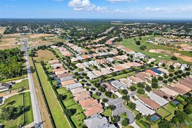 Welcome to this exquisite custom-built villa in Terra Vista's on Skyview At Terra Vista Golf and Country Club in Florida - for sale on GolfHomes.com, golf home, golf lot