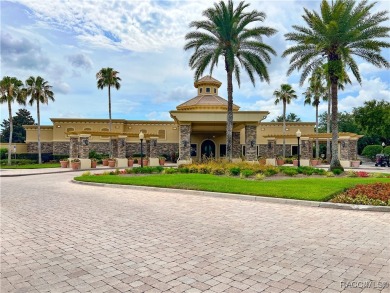 Welcome to this exquisite custom-built villa in Terra Vista's on Skyview At Terra Vista Golf and Country Club in Florida - for sale on GolfHomes.com, golf home, golf lot