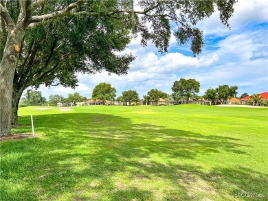 Welcome to this exquisite custom-built villa in Terra Vista's on Skyview At Terra Vista Golf and Country Club in Florida - for sale on GolfHomes.com, golf home, golf lot