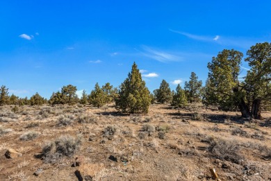 Build your dream home on this elevated, gently sloped Pronghorn on The Club At Pronghorn Golf Course in Oregon - for sale on GolfHomes.com, golf home, golf lot