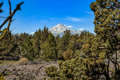 Build your dream home on this elevated, gently sloped Pronghorn on The Club At Pronghorn Golf Course in Oregon - for sale on GolfHomes.com, golf home, golf lot