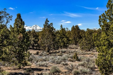 Build your dream home on this elevated, gently sloped Pronghorn on The Club At Pronghorn Golf Course in Oregon - for sale on GolfHomes.com, golf home, golf lot