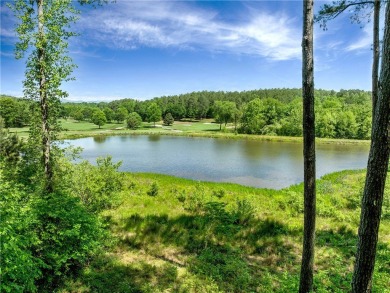 Experience the pinnacle of privacy, beauty, and luxury living in on The Cliffs At Keowee Falls in South Carolina - for sale on GolfHomes.com, golf home, golf lot