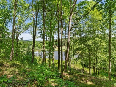 Experience the pinnacle of privacy, beauty, and luxury living in on The Cliffs At Keowee Falls in South Carolina - for sale on GolfHomes.com, golf home, golf lot
