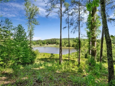 Experience the pinnacle of privacy, beauty, and luxury living in on The Cliffs At Keowee Falls in South Carolina - for sale on GolfHomes.com, golf home, golf lot