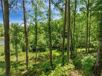 Experience the pinnacle of privacy, beauty, and luxury living in on The Cliffs At Keowee Falls in South Carolina - for sale on GolfHomes.com, golf home, golf lot