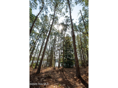 13 Abington Drive, a rare lakefront estate homesite in Pinewild on Pinewild Country Club of Pinehurst in North Carolina - for sale on GolfHomes.com, golf home, golf lot