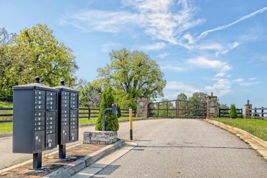 LAKE LIVING with long range mountain and water views from your on Old Union Golf Course in Georgia - for sale on GolfHomes.com, golf home, golf lot