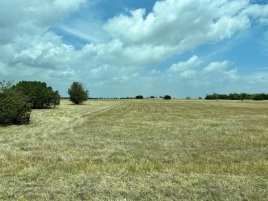 Create your ideal home in the desirable Cleburne Golf Community on The Retreat in Texas - for sale on GolfHomes.com, golf home, golf lot