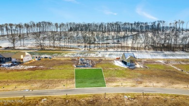 WELCOME TO EAST TENNESSE'S PREMIER GOLF COMMUNITY!  Discover the on Tennessee National Golf Club in Tennessee - for sale on GolfHomes.com, golf home, golf lot