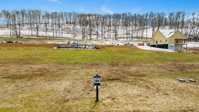 WELCOME TO EAST TENNESSE'S PREMIER GOLF COMMUNITY!  Discover the on Tennessee National Golf Club in Tennessee - for sale on GolfHomes.com, golf home, golf lot
