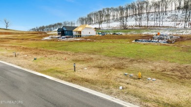 WELCOME TO EAST TENNESSE'S PREMIER GOLF COMMUNITY!  Discover the on Tennessee National Golf Club in Tennessee - for sale on GolfHomes.com, golf home, golf lot
