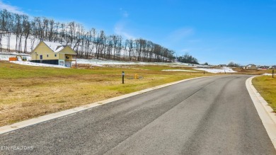 WELCOME TO EAST TENNESSE'S PREMIER GOLF COMMUNITY!  Discover the on Tennessee National Golf Club in Tennessee - for sale on GolfHomes.com, golf home, golf lot