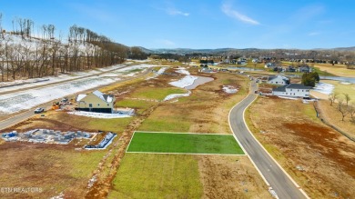 WELCOME TO EAST TENNESSE'S PREMIER GOLF COMMUNITY!  Discover the on Tennessee National Golf Club in Tennessee - for sale on GolfHomes.com, golf home, golf lot