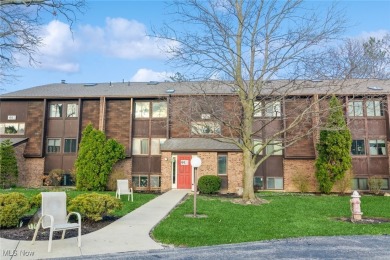 Open & Spacious Beautifully Remodeled 2 Bedroom, 3 Bath Condo on Fox Creek Golf and Racquet Club in Ohio - for sale on GolfHomes.com, golf home, golf lot