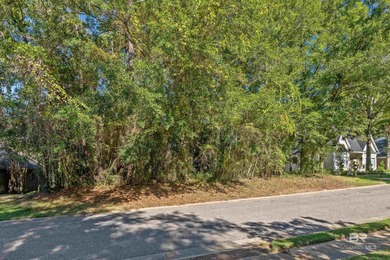 Build your dream home on this beautiful, perfectly positioned on Rock Creek Golf Club in Alabama - for sale on GolfHomes.com, golf home, golf lot