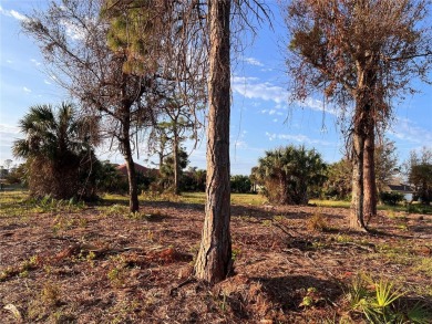 Welcome to this stunning oversized parcel of land located in the on Rotonda Golf and Country Club - Long Marsh  in Florida - for sale on GolfHomes.com, golf home, golf lot