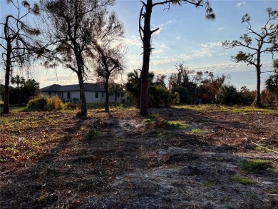 Welcome to this stunning oversized parcel of land located in the on Rotonda Golf and Country Club - Long Marsh  in Florida - for sale on GolfHomes.com, golf home, golf lot