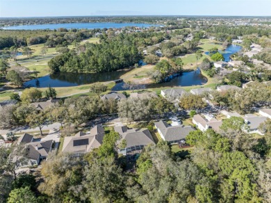 Price Improvement!!!!! Are you looking for a pool home in a golf on Country Club of Mount Dora in Florida - for sale on GolfHomes.com, golf home, golf lot