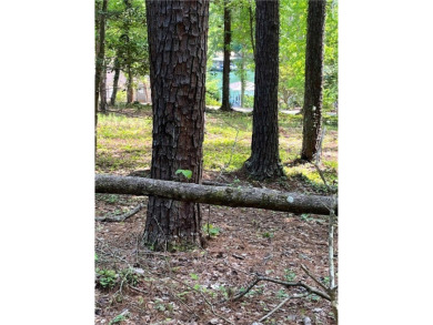 Welcome to the gated community of Keowee Key, located at the on Keowee Key Golf and Country Club in South Carolina - for sale on GolfHomes.com, golf home, golf lot