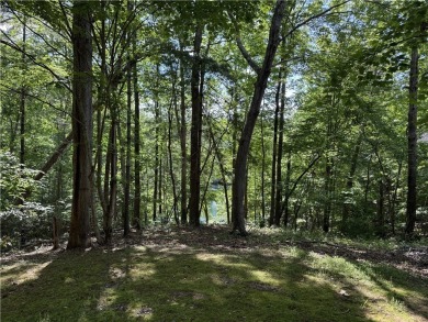 This Cliffs at Keowee Vineyards waterfront homesite now has a on The Cliffs At Keowee Vineyards Golf Club in South Carolina - for sale on GolfHomes.com, golf home, golf lot