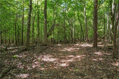Discover the best of Chickasaw Point living with .74 acres of on The Trail At Chickasaw Pointe in South Carolina - for sale on GolfHomes.com, golf home, golf lot