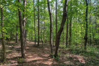 Discover the best of Chickasaw Point living with .74 acres of on The Trail At Chickasaw Pointe in South Carolina - for sale on GolfHomes.com, golf home, golf lot