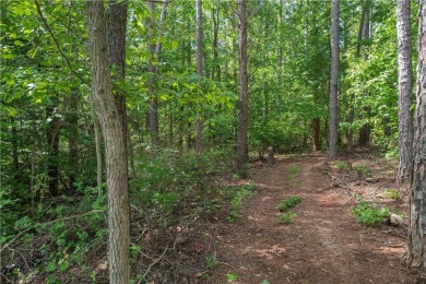 Discover the best of Chickasaw Point living with .74 acres of on The Trail At Chickasaw Pointe in South Carolina - for sale on GolfHomes.com, golf home, golf lot