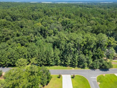 Build Your Dream Home in Golden Eagle - Nature at Your Back on Golden Eagle Country Club in Florida - for sale on GolfHomes.com, golf home, golf lot