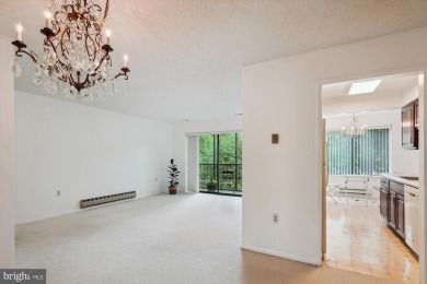 Lovely 2-bedroom/2 -bath condo home with  lots of natural light on Leisure World Golf Club in Maryland - for sale on GolfHomes.com, golf home, golf lot