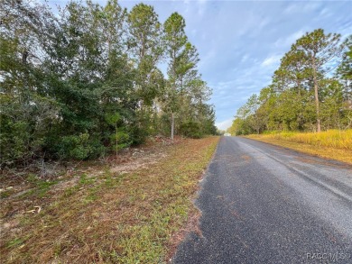 DON'T WAIT, buy your piece of Florida and enjoy all of what the on Citrus Springs Country Club in Florida - for sale on GolfHomes.com, golf home, golf lot
