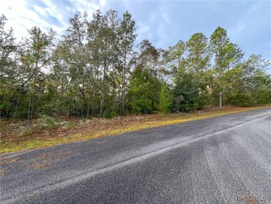 DON'T WAIT, buy your piece of Florida and enjoy all of what the on Citrus Springs Country Club in Florida - for sale on GolfHomes.com, golf home, golf lot