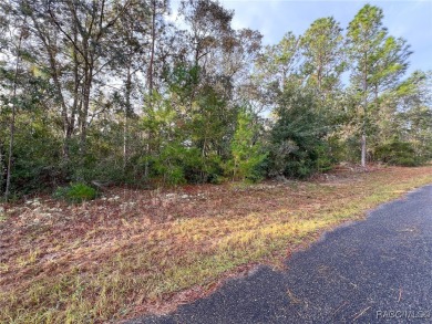 DON'T WAIT, buy your piece of Florida and enjoy all of what the on Citrus Springs Country Club in Florida - for sale on GolfHomes.com, golf home, golf lot