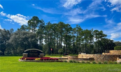 DON'T WAIT, buy your piece of Florida and enjoy all of what the on Citrus Springs Country Club in Florida - for sale on GolfHomes.com, golf home, golf lot
