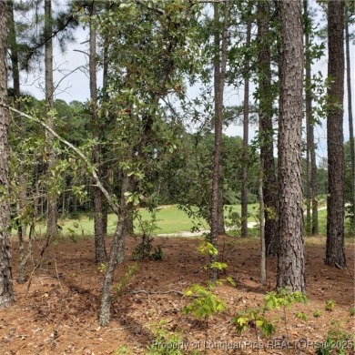 GOLF COURSE FRONTAGE! Welcome to Your Dream Home by Ivercon on Deercroft Golf and Country Club in North Carolina - for sale on GolfHomes.com, golf home, golf lot