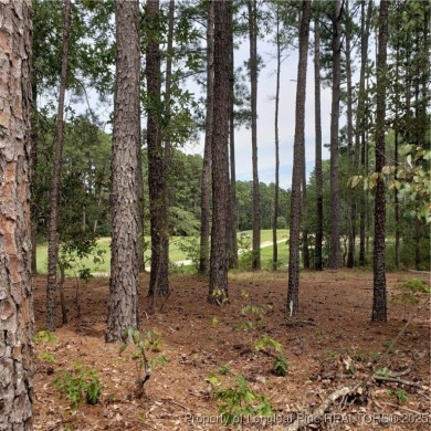 GOLF COURSE FRONTAGE! Welcome to Your Dream Home by Ivercon on Deercroft Golf and Country Club in North Carolina - for sale on GolfHomes.com, golf home, golf lot