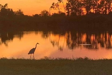 Situated Right across from the Community Pool and Clubhouse on Riverwood Golf Club in Florida - for sale on GolfHomes.com, golf home, golf lot