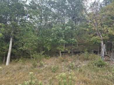 Beautiful lot with lots of potential! Plenty of wildlife for a on Holiday Island Executive Golf Course in Arkansas - for sale on GolfHomes.com, golf home, golf lot