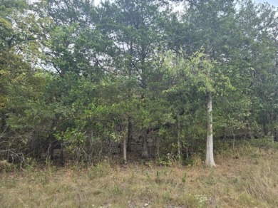 Beautiful lot with lots of potential! Plenty of wildlife for a on Holiday Island Executive Golf Course in Arkansas - for sale on GolfHomes.com, golf home, golf lot