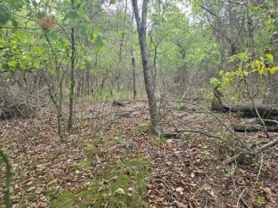 Beautiful lot with lots of potential! Plenty of wildlife for a on Holiday Island Executive Golf Course in Arkansas - for sale on GolfHomes.com, golf home, golf lot