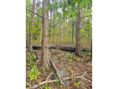 Beautiful lot with lots of potential! Plenty of wildlife for a on Holiday Island Executive Golf Course in Arkansas - for sale on GolfHomes.com, golf home, golf lot