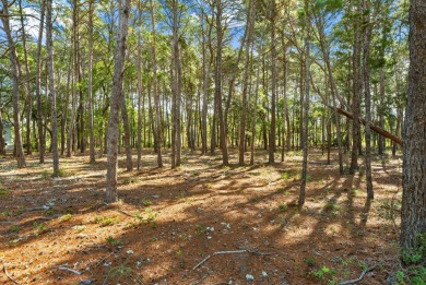 Discover the perfect opportunity to build your dream home in one on Sharks Tooth Golf Club in Florida - for sale on GolfHomes.com, golf home, golf lot