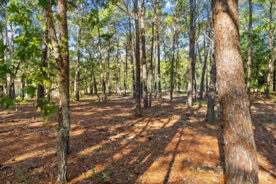 Discover the perfect opportunity to build your dream home in one on Sharks Tooth Golf Club in Florida - for sale on GolfHomes.com, golf home, golf lot