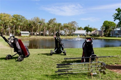 Step into paradise, this stunning 2B/2B luxury condo nestled in on Pelican Pointe 9 Hole Course in Florida - for sale on GolfHomes.com, golf home, golf lot