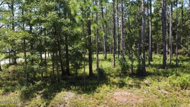 Want privacy and the ability to Build your dream home or on The Lakes Country Club in North Carolina - for sale on GolfHomes.com, golf home, golf lot