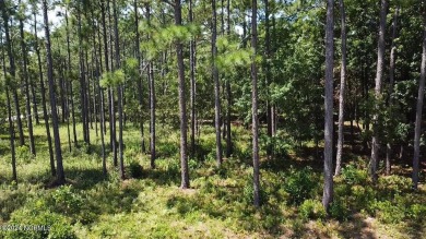 Want privacy and the ability to Build your dream home or on The Lakes Country Club in North Carolina - for sale on GolfHomes.com, golf home, golf lot