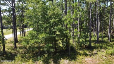Want privacy and the ability to Build your dream home or on The Lakes Country Club in North Carolina - for sale on GolfHomes.com, golf home, golf lot